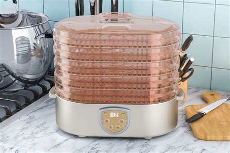 7 Essential Food Dehydrator Benefits