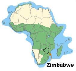 The Fall Of Zimbabwe