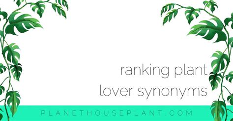 Ranking Plant Lover Synonyms - Planet Houseplant