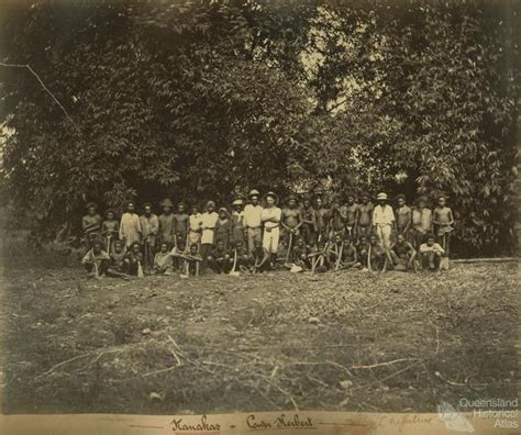 South Sea Islanders, Lower Herbert, c1890. Between 1863 and 1904 ...