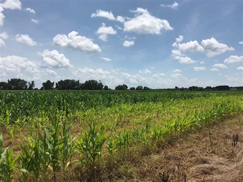 Report: Ohio Corn Silage Harvest Timing - Extreme Industrial Blog