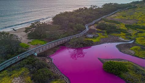 Maui Wildlife Refuge Pond Mysteriously Turns Bright Pink