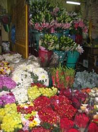 Market Manila - Dimasalang Flower Market, Sampaloc Manila - General