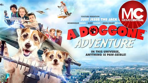 A Doggone Adventure | Full Family Adventure Movie - YouTube