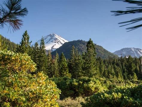 7 Best Hikes Near Mt Shasta: Hiking Trails For All Levels! - California ...