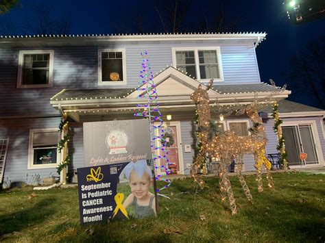 Adored Orland Park Girl In Cancer Fight Gets Christmas Lights Delight ...