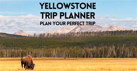 Yellowstone Trip Planner – Visitors Guide For Your Perfect Trip