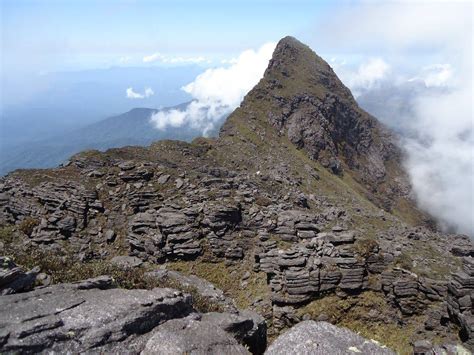 Pico da Neblina e 31 de Março, qual é montanha? - AltaMontanha