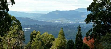 Viewpoints and Lookouts of the Dandenong Ranges