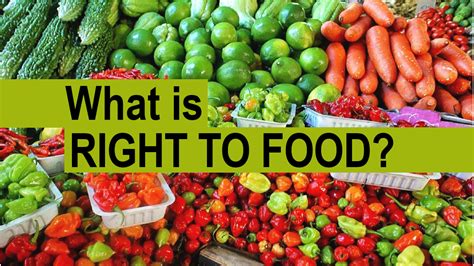 What is the Right to Food? – Global Solidarity Alliance for Food, Health and Social Justice