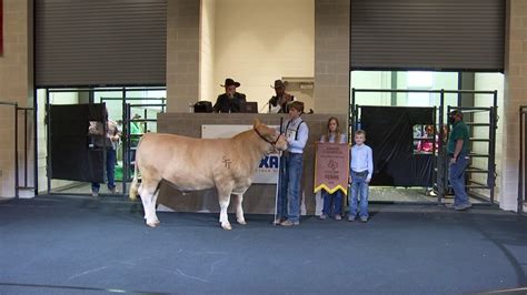 State Fair of Texas Hosts 72nd Annual Big Tex Youth Livestock Auction – NBC 5 Dallas-Fort Worth