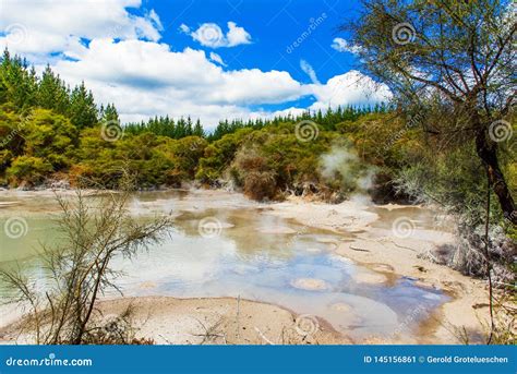 Geothermal Pools in Wai-O-Tapu Park, Rotorua, New Zealand Stock Image - Image of sulphur ...