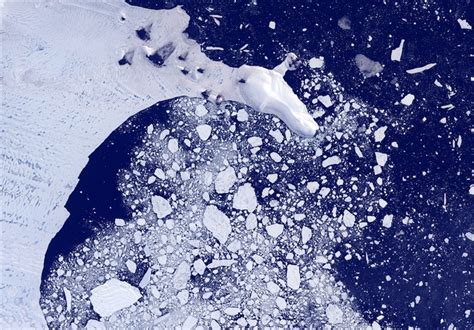 Antarctic Sea Ice Collapse Rises Potential of 10-Foot Sea Level Rise: Study - Science news ...