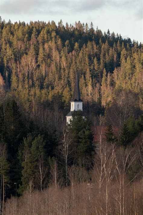 Church and Forest on Hill · Free Stock Photo