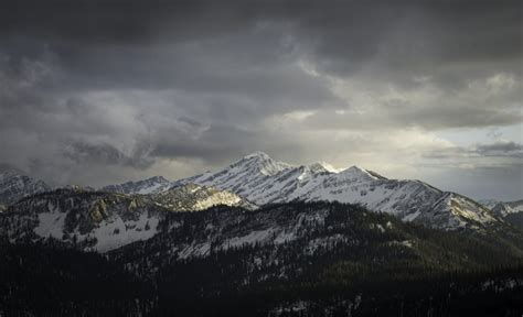 Montana Wildlife Photography