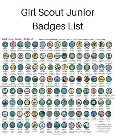 Girl Scout Junior Badges - Complete List Of Every Badge (JUNIORS) in ...