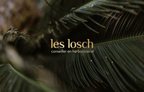 LES LOSCH - Branding, Herbal Packaging Design on Behance