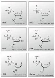 threose structure - Google Zoeken in 2020