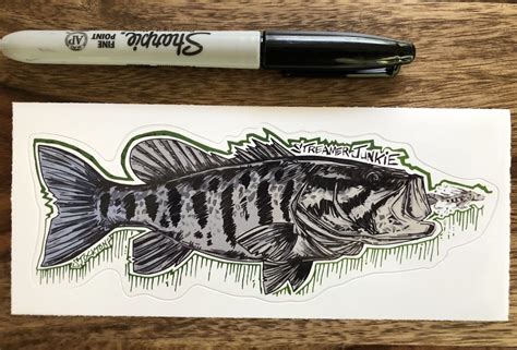 Smallmouth Bass Drawing at PaintingValley.com | Explore collection of ...