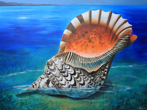 Sally Lee by the Sea Coastal Lifestyle Blog: Coastal Art: Bright & Beautiful Seashell Collection