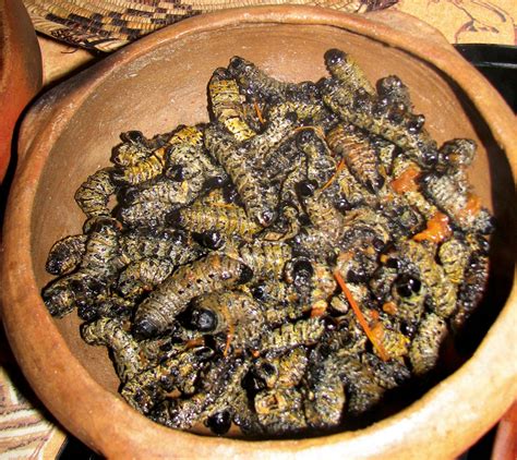 Oshiwambo cuisine - Mopane, millet and marula - Travel News Namibia ...