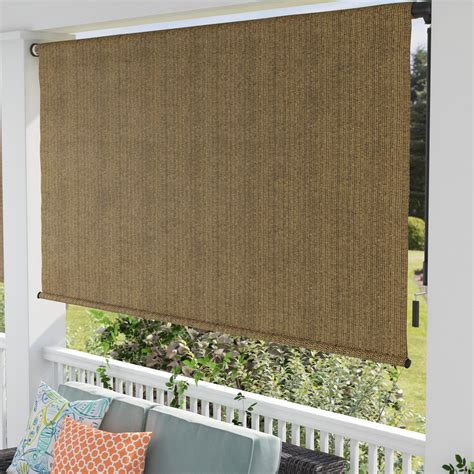 Coolaroo Sheer Outdoor Roller Shade & Reviews | Wayfair