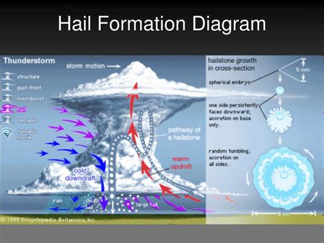 Hail damage – Harleys Construction and Restoration