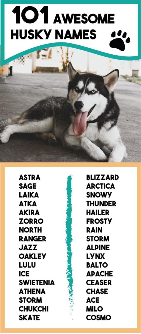 Siberian Husky Names | Husky names, Siberian husky names, Husky