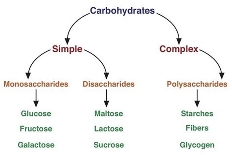 4.2: A Closer Look At Carbohydrates | LibreTexts Nutrition