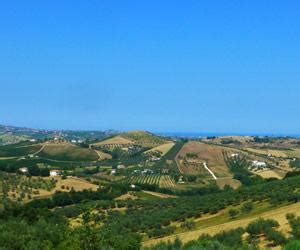 Montepulciano d'Abruzzo Wine Region