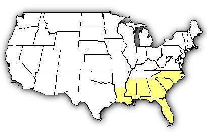 Map of US states the Eastern Coral Snake is found in.