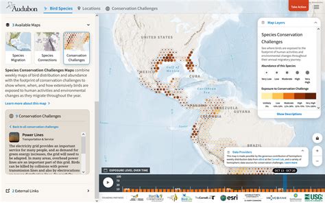 National Audubon Society's Bird Migration Explorer | Blue Raster