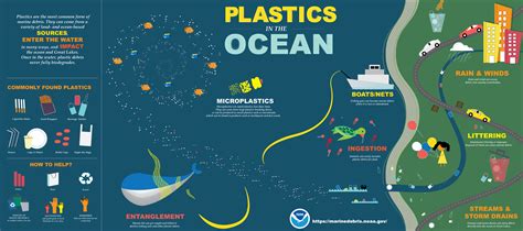 Plastics in the Ocean Infographic | Marine Debris Program