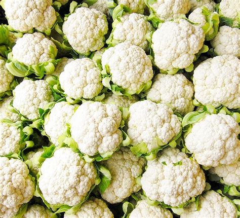 Top 5 health benefits of cauliflower | BBC Good Food