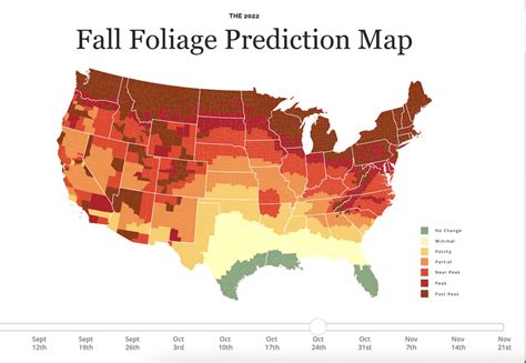 This Interactive Map Predicts When Fall Foliage Will Peak In D.C.—And It's Soon - Secret DC