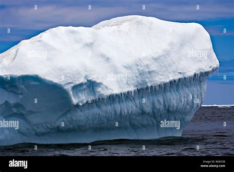 Iceberg in Iceberg Alley during an Iceberg Watching Tour with Northland ...