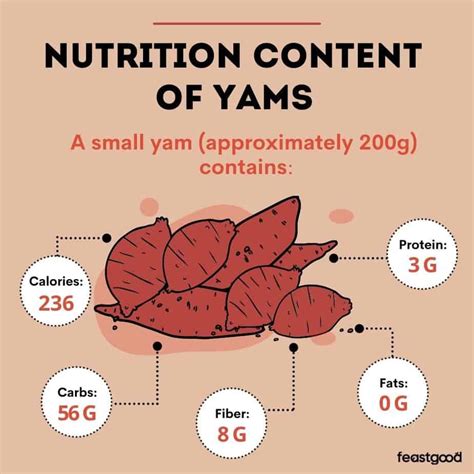 Are Yams Good or Bad for Bodybuilding? (Pros & Cons) - FeastGood.com