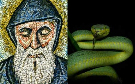 The Truth About St. Patrick, Snakes, and Pagans | The Pagan Grimoire