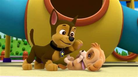 Chase X Skye | Skye paw patrol, Paw patrol pups, Chase paw patrol