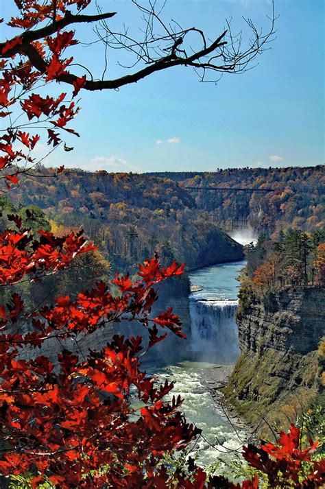 Genesee River Gorge Photograph by Ben Prepelka - Fine Art America