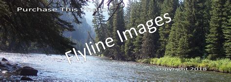 Gallatin River Fishing - Flyline Images