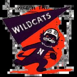 Northwestern Wildcats Alternate Logo | SPORTS LOGO HISTORY