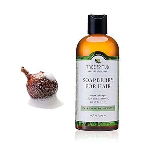 Chemical Free Shampoos - For Sale and DIY | GetGoodHead.com