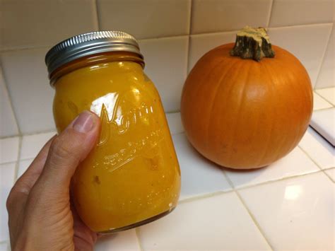 Pumpkin Puree Recipe - ActionJacquelyn