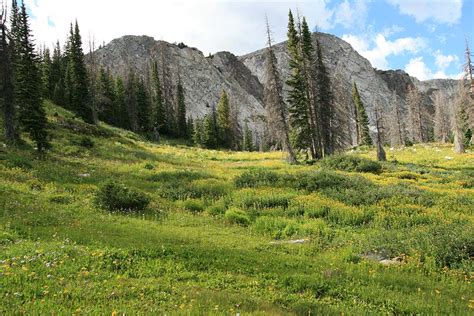 Best Ways to Explore Wyoming's Snowy Range Mountains