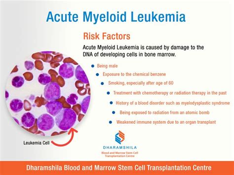 Pin on Blood and Bone Marrow Transplant Hospital in Delhi