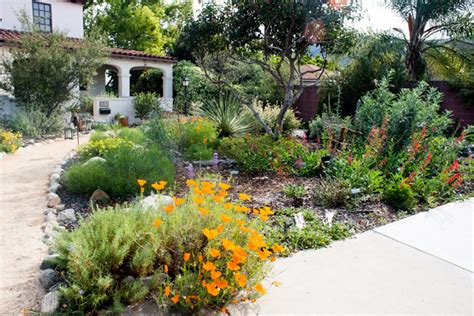 Beyond Succulents: 10 Favorites from a California Native Plant Tour ...