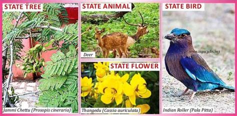 List of Telangana State Symbols - Animal,Flower,Tree,Bird