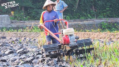 Traktor Quick Capung Metal! Traktor Sawah Mini Bekerja Di Lahan Berbatu Dan Dalam - YouTube