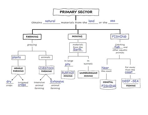 What are the sectors in Indian Share Market | Equity X Advisory